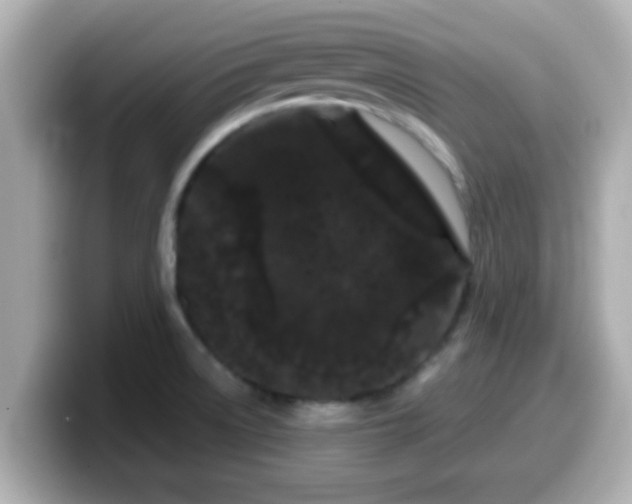 X0000099561522200805231502