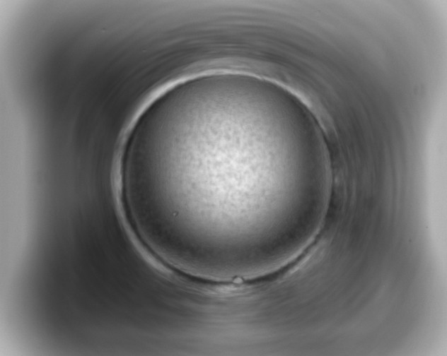 X0000099561523200805231502