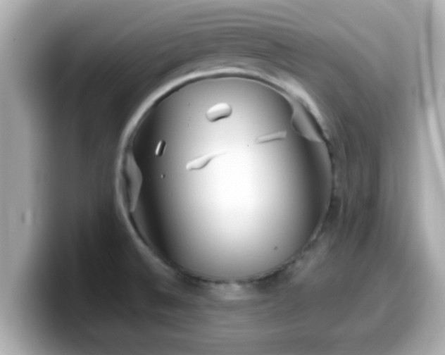 X0000099561524200805231502