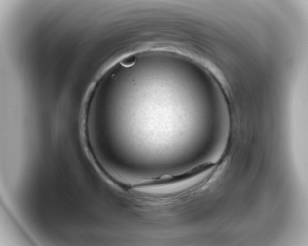 X0000099561525200805231502