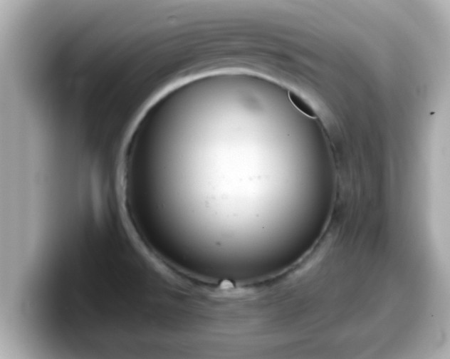 X0000099561526200805231502