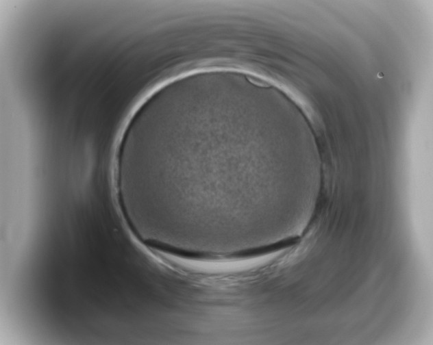 X0000099561527200805231502