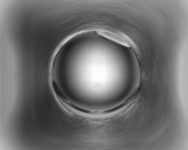 X0000099561528200805231502