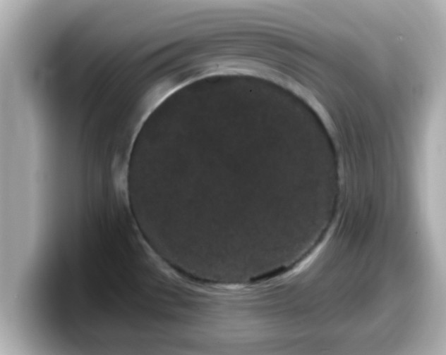 X0000099561529200805231502