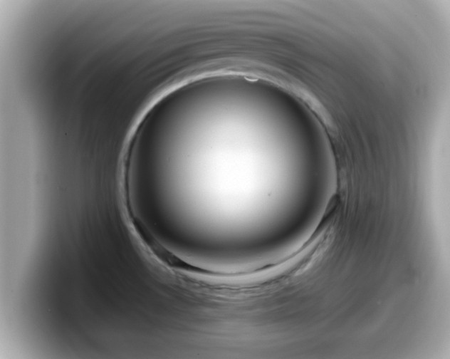 X0000099561530200805231502