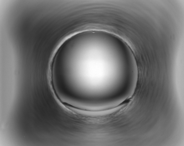 X0000099561531200805231502