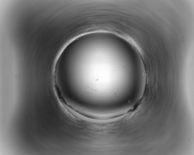 X0000099561532200805231502