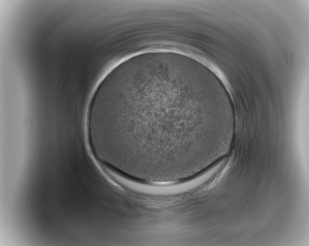 X0000099561533200805231502