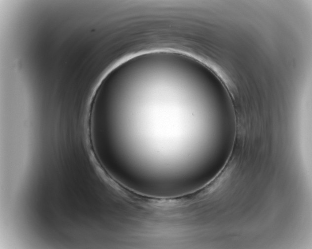 X0000099561534200805231502