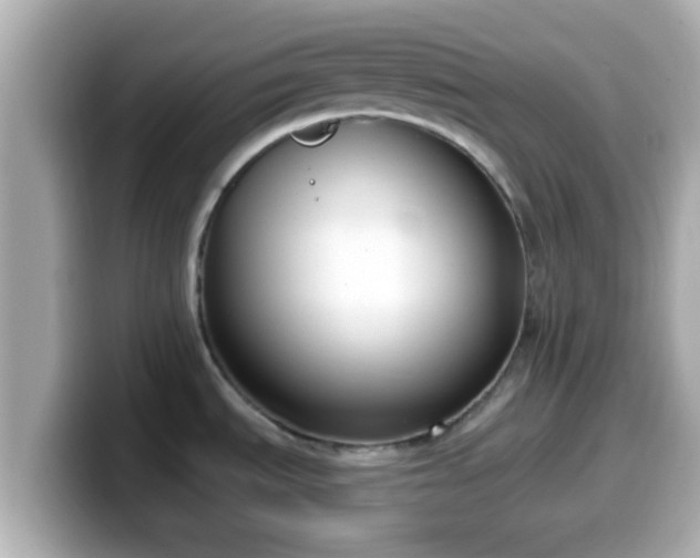 X0000099561535200805231502