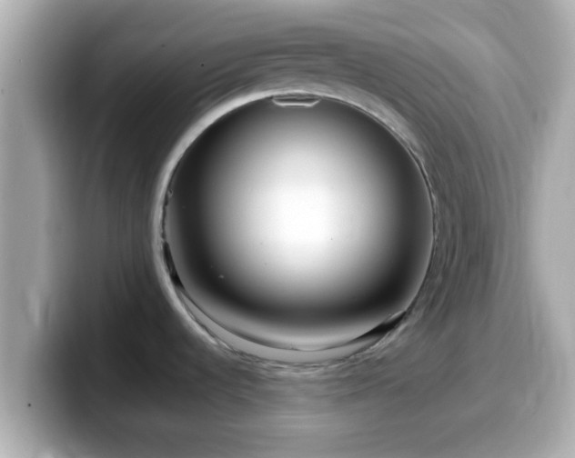 X0000099561536200805231502