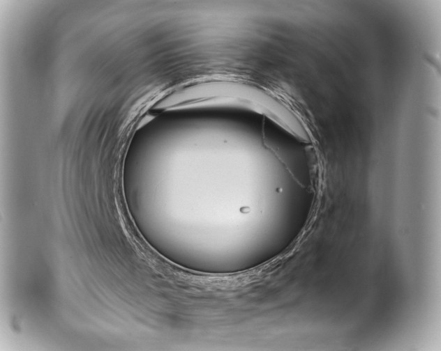 X0000099560001200805301551