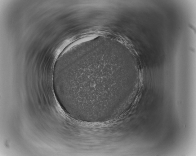 X0000099560003200805301551