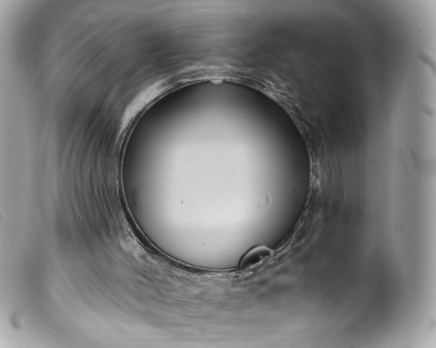 X0000099560004200805301551