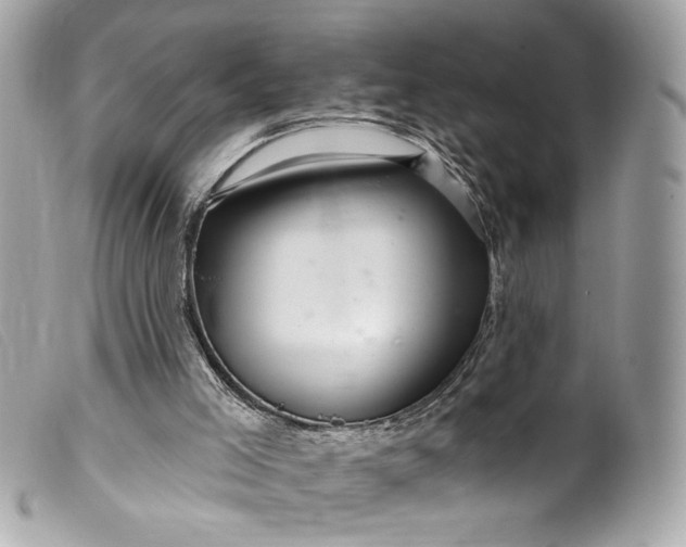 X0000099560005200805301551