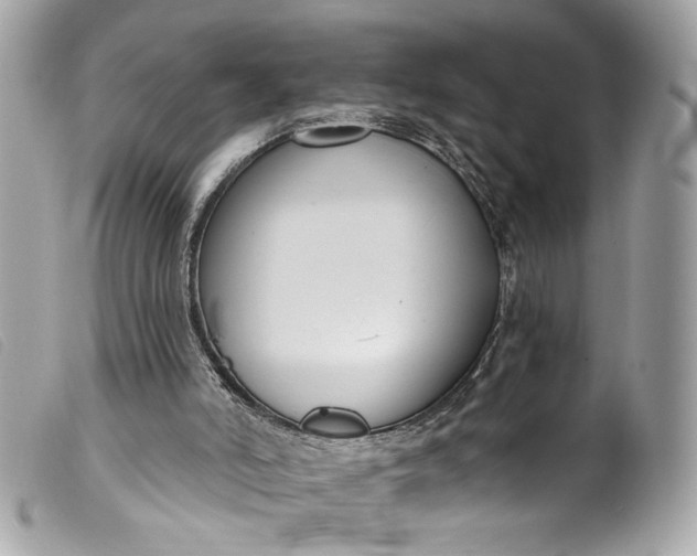 X0000099560006200805301551