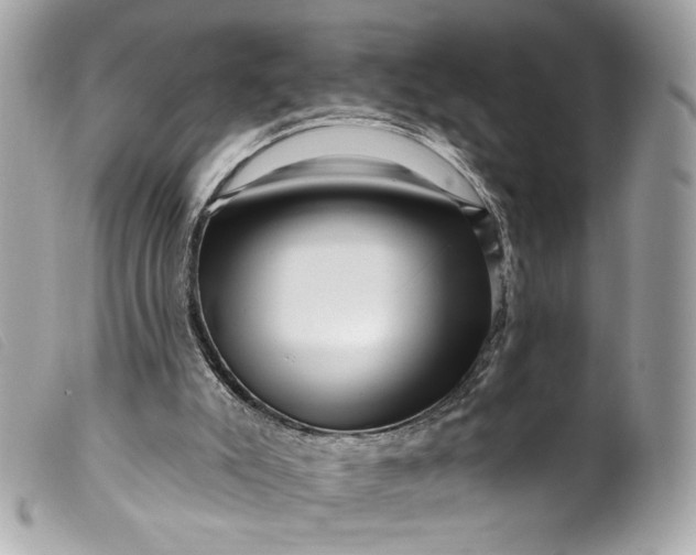 X0000099560007200805301551