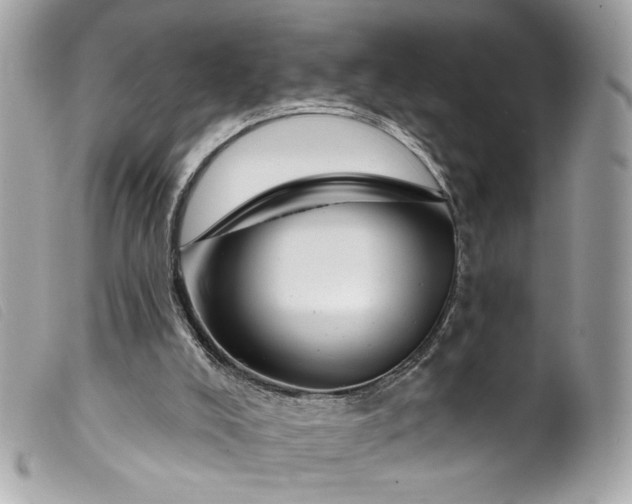 X0000099560008200805301551