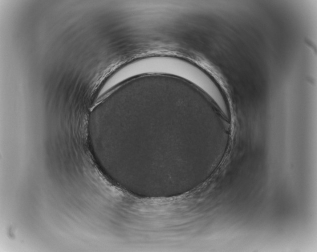 X0000099560009200805301551