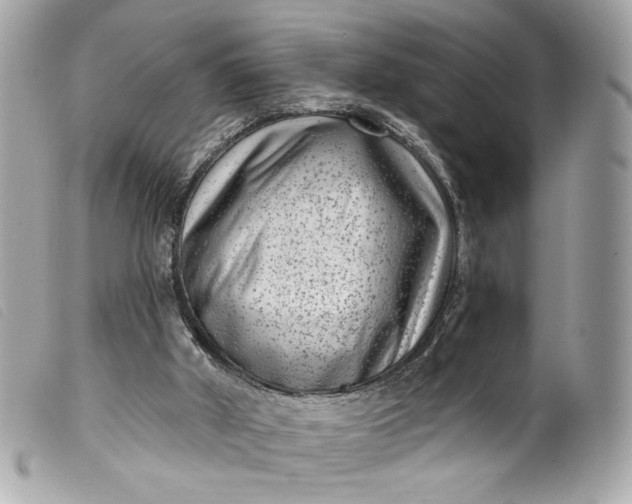 X0000099560010200805301551