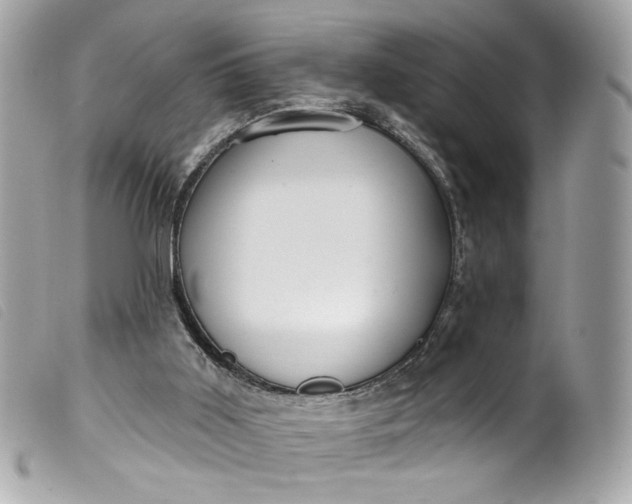 X0000099560011200805301551