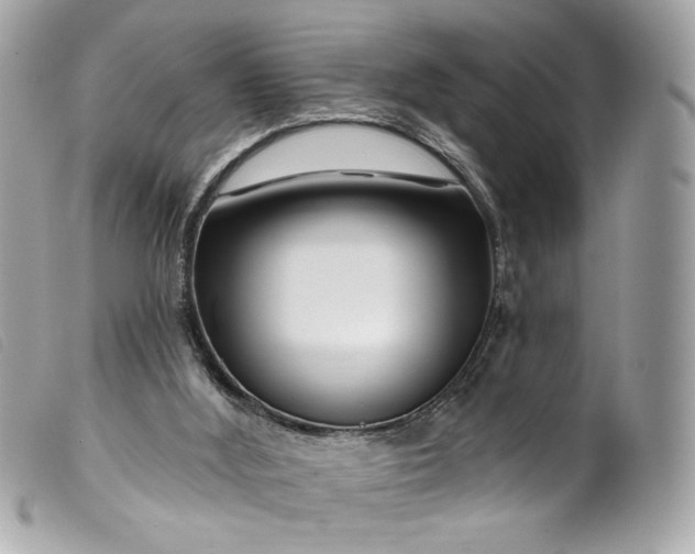 X0000099560012200805301551