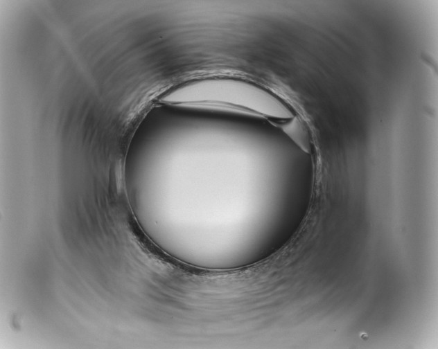 X0000099560013200805301551