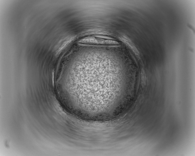 X0000099560014200805301551