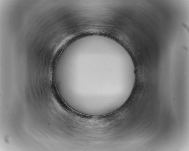 X0000099560016200805301551