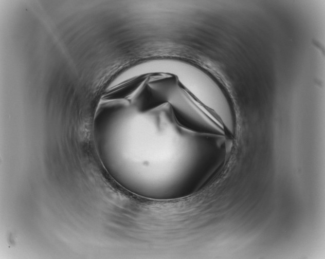 X0000099560017200805301550