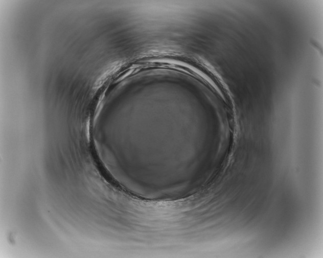 X0000099560019200805301550