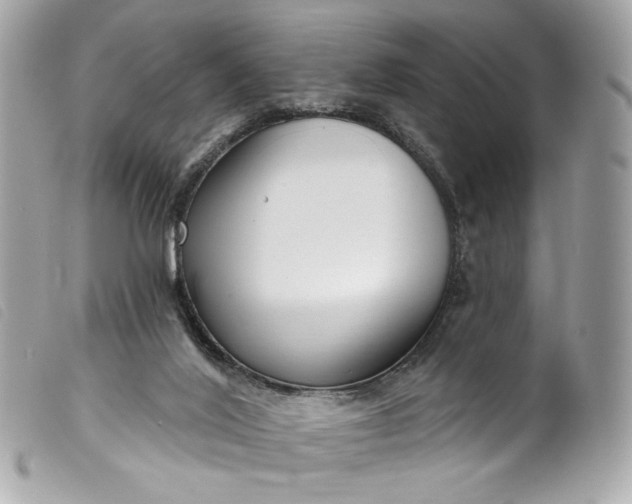 X0000099560020200805301550