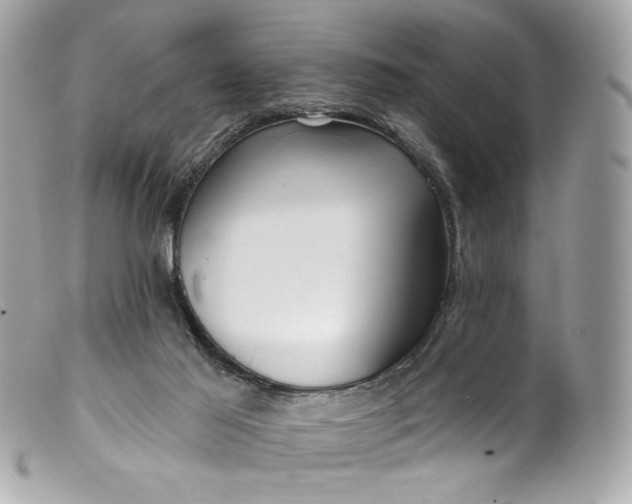 X0000099560021200805301550