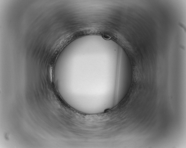 X0000099560022200805301550