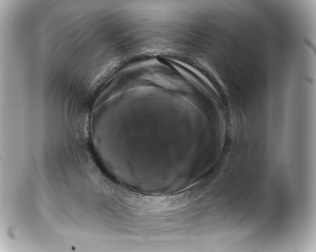 X0000099560023200805301550