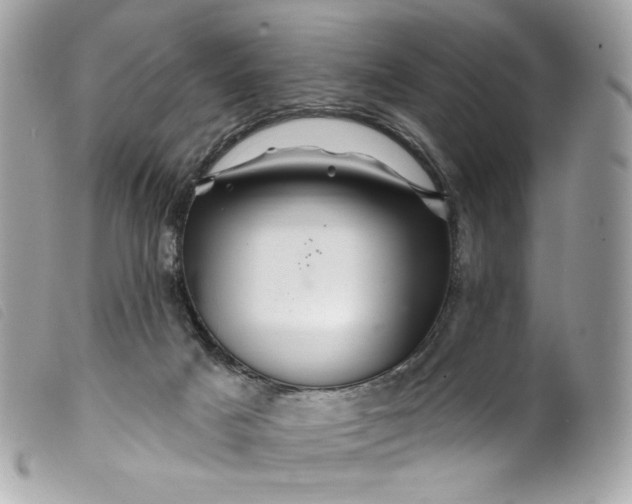 X0000099560025200805301550