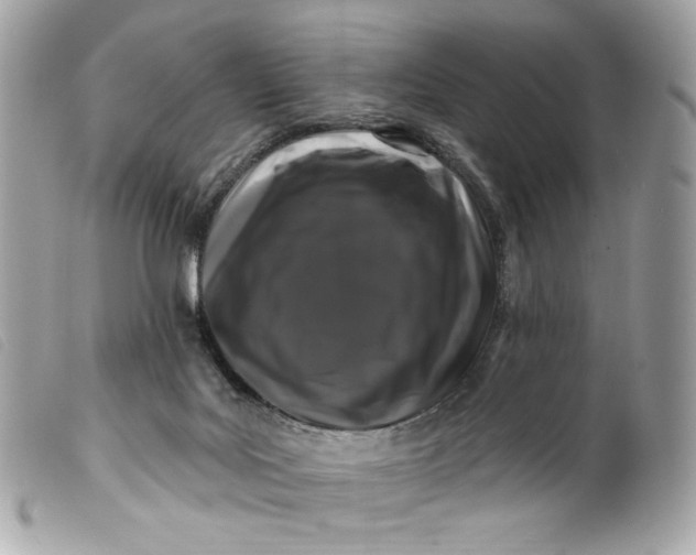 X0000099560027200805301550