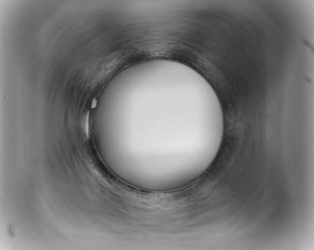 X0000099560028200805301550