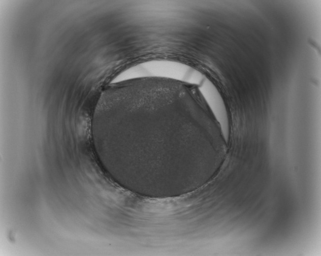 X0000099560029200805301550