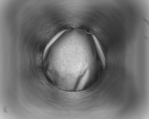 X0000099560030200805301550