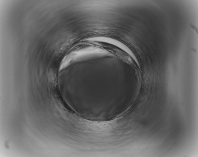 X0000099560031200805301550