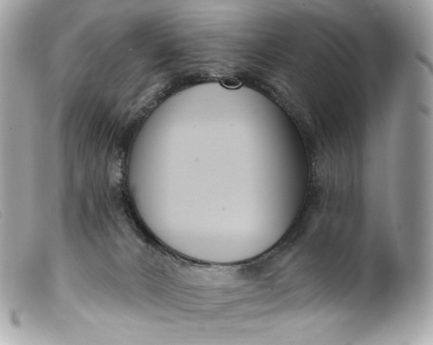 X0000099560032200805301550