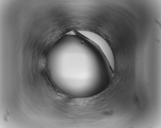 X0000099560033200805301550