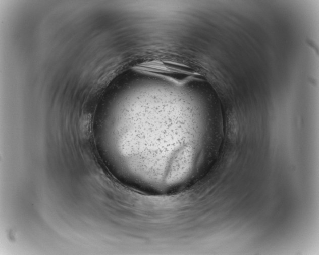 X0000099560034200805301550