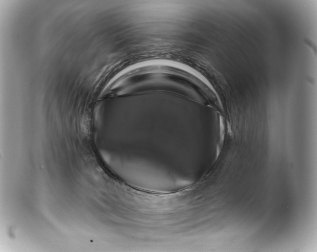 X0000099560035200805301550