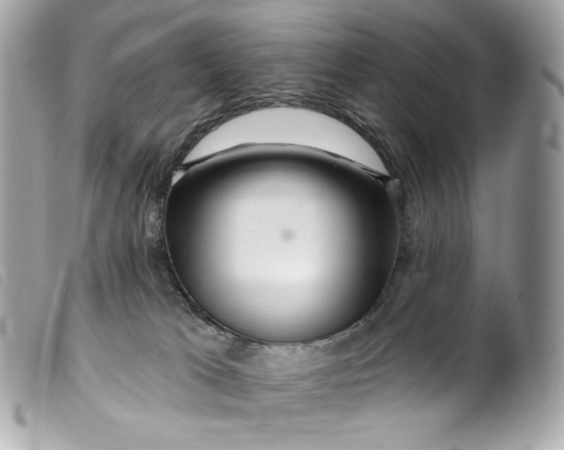 X0000099560037200805301550