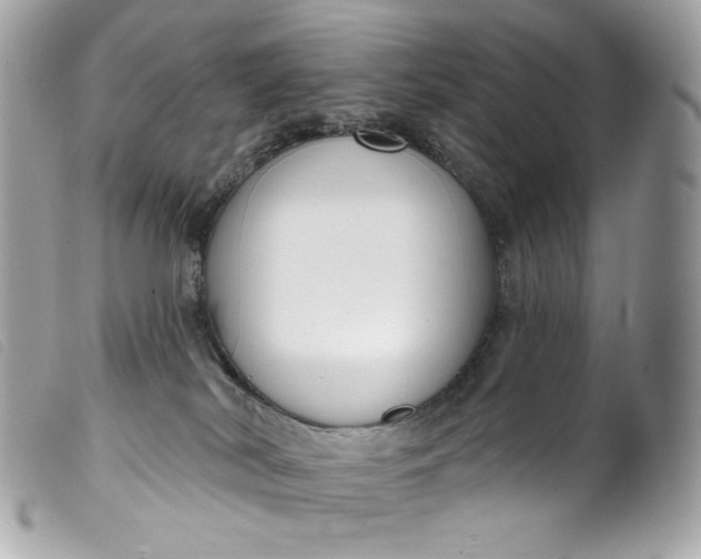 X0000099560038200805301550