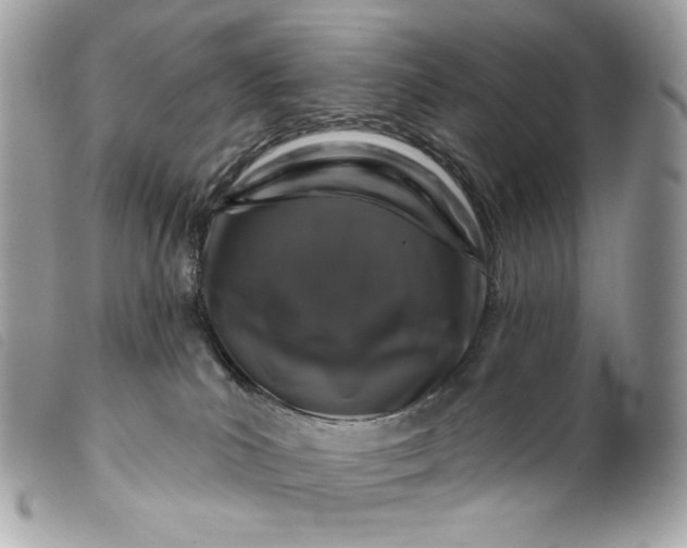 X0000099560039200805301550