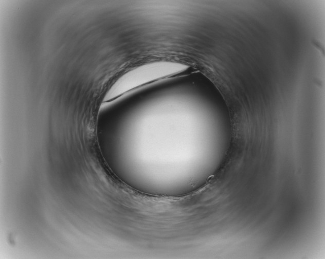 X0000099560040200805301550