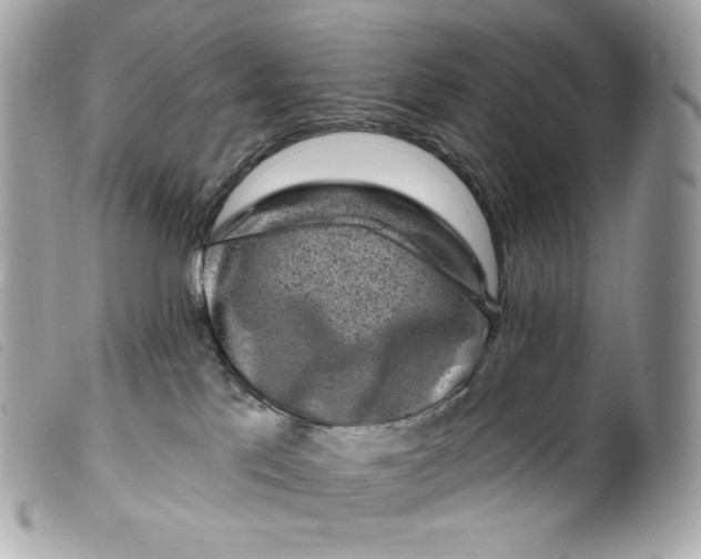 X0000099560041200805301550